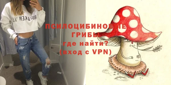 mdpv Лабытнанги