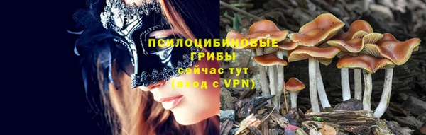 не бодяженный Лагань