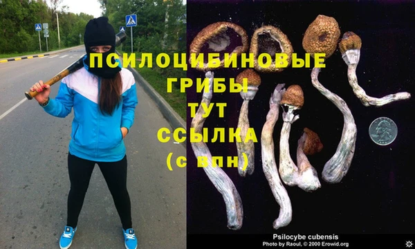 не бодяженный Лагань