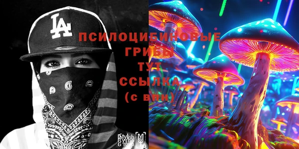 ешки Ладушкин