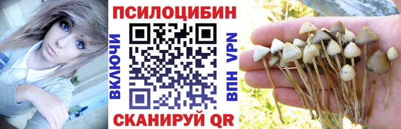 Псилоцибиновые грибы GOLDEN TEACHER  что такое   Красноперекопск 