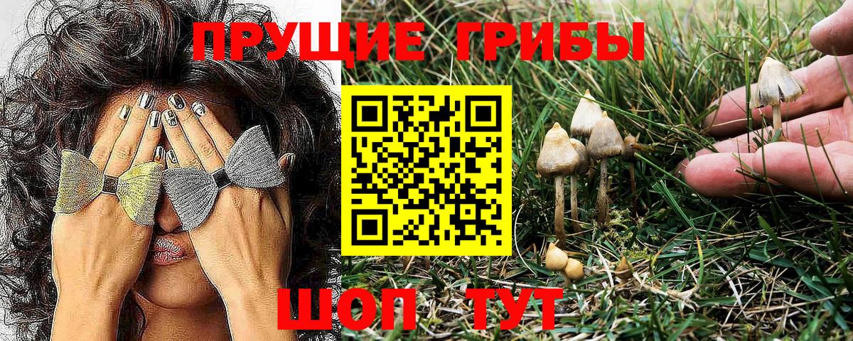 как найти закладки  Галлюциногенные грибы Psilocybine cubensis  Вход с VPN  Красноперекопск 