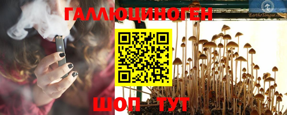 Псилоцибиновые грибы Psilocybe Красноперекопск